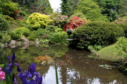 30th May 2013 - Japanese Garden