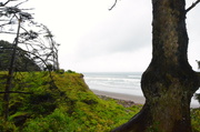 25th May 2013 - Olympic National Park
