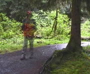 27th May 2013 - Don Mammoser as a Ghost in the Hoh Rain Forest