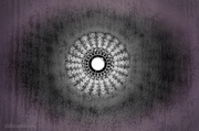 31st May 2013 - 31.5.13 Eye Eye