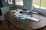 30th May 2013 - Model Plane