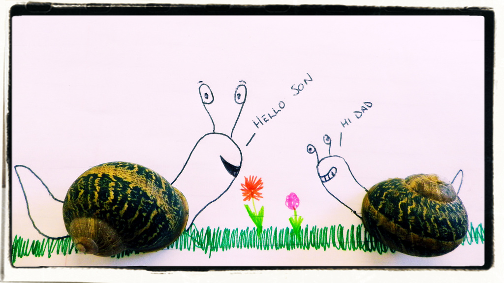 mr snail and son by itsonlyart