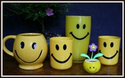 31st May 2013 - Smiley family
