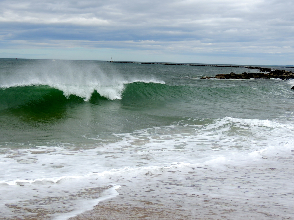 A Perfect Summer wave! by dianezelia