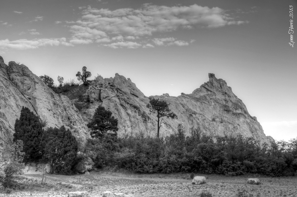 Gray Rock by lynne5477