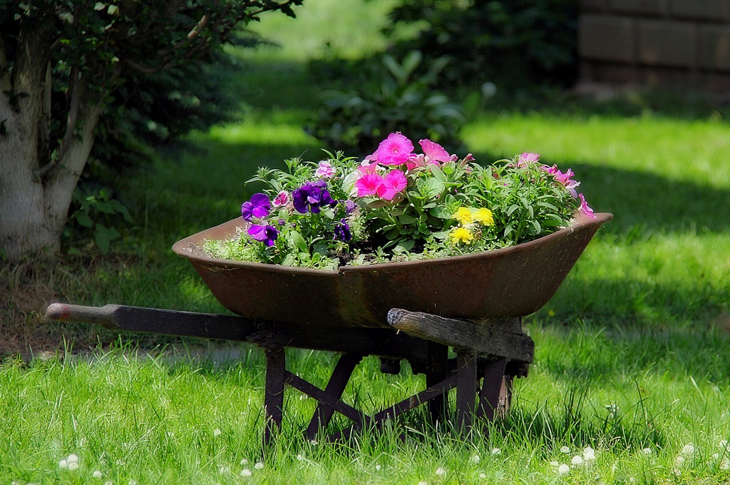 A Barrow Of Color by digitalrn