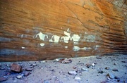 1st Jun 2013 - Rock art