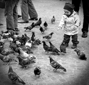 1st Jun 2013 - Feeding the pigeons in Dam Square