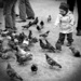 Feeding the pigeons in Dam Square by bella_ss