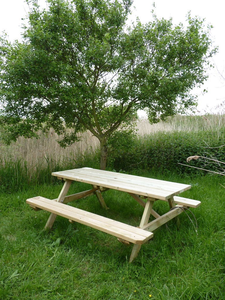 Bench by lellie