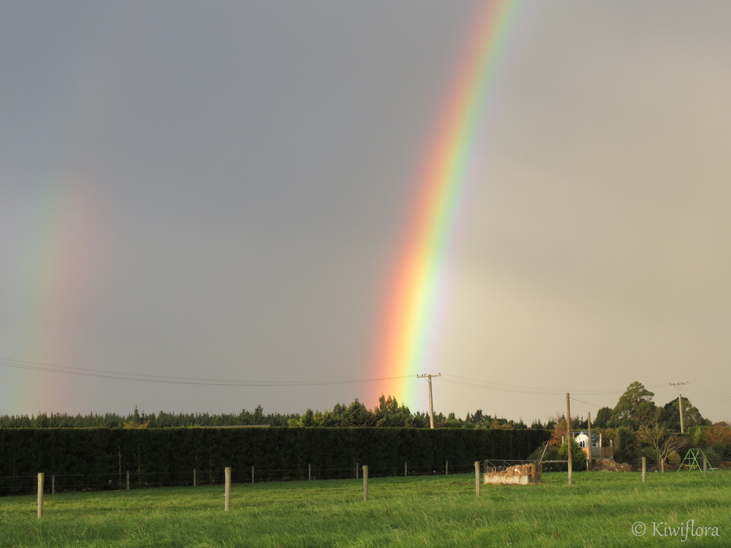 Double Rainbow by kiwiflora