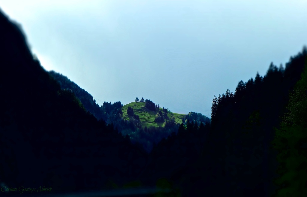 The green hill  by cocobella