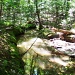 Stream in Wells Maine by dorim
