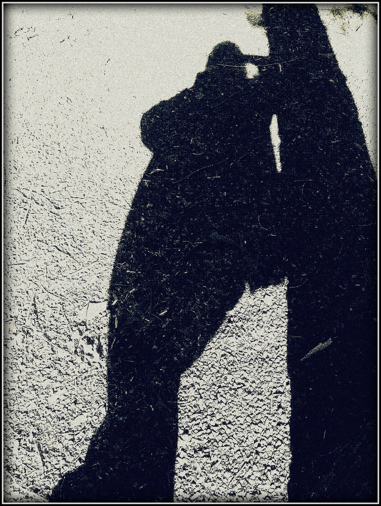 Shadow ala Vivian Maier by olivetreeann