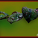 Leaves, Thorns and Raindrops by annied