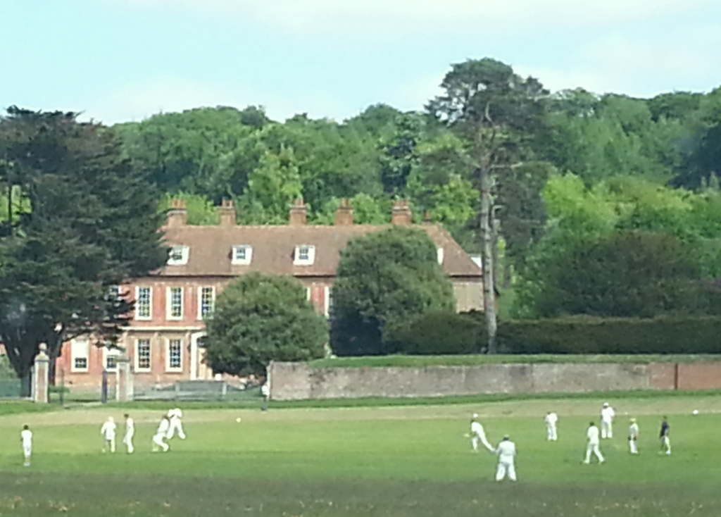 Cricket the Traditional English Village Way by fishers