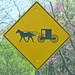 Amish crossing by tanda