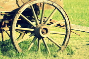 31st May 2013 - Wagon wheel