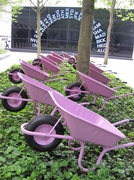 29th May 2013 - wheelbarrows