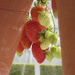 strawberries 1 by mariadarby