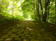 2nd Jun 2013 - #157 Cobbled path