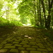 #157 Cobbled path by denidouble