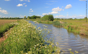 2nd Jun 2013 - River Leijgraaf Uden III