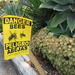 Danger! by lisasutton
