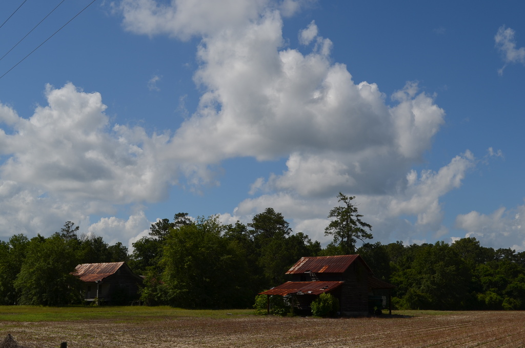 Rural Dorchester County, SC by congaree
