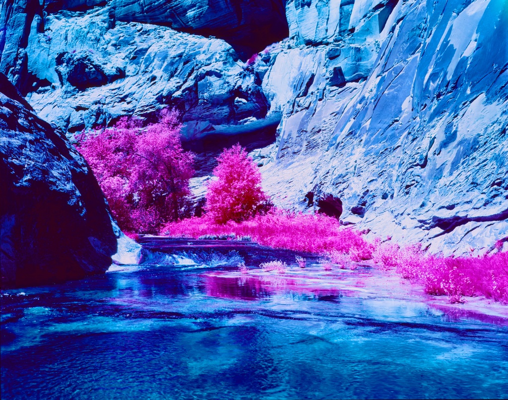 Cottonwoods, monkey flowers & rockpool by peterdegraaff