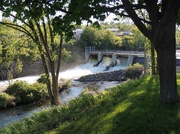 22nd May 2013 - Bonnechere Mist