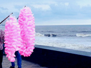 3rd Jun 2013 - Candyfloss..... by the sea