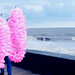 Candyfloss..... by the sea by amrita21