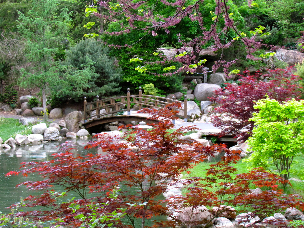 Japanese Garden by juletee