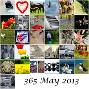 31st May 2013 -  Mosaic 365 May 2013