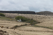 28th May 2013 - Dartmoor