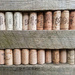 Corks by philr