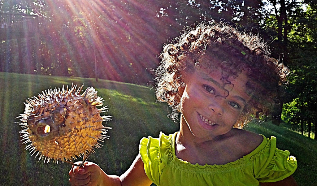 Cutie and the Blowfish by sbolden