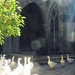 St Eulalia's Geese by filsie65
