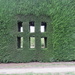 Window by kiwiflora