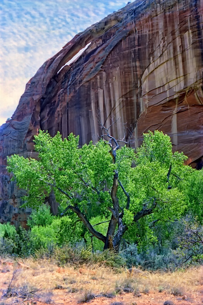 Skyline Arch by peterdegraaff