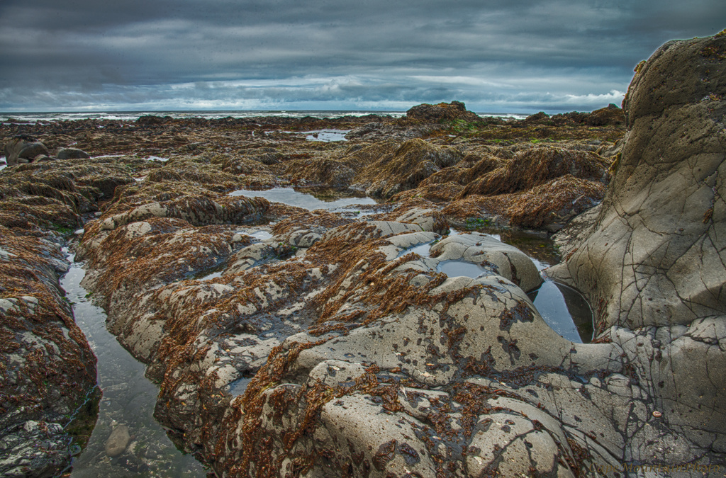 Tokatee Low Tide HDR by jgpittenger