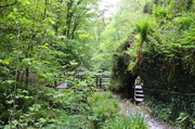 30th May 2013 - Lydford Gorge