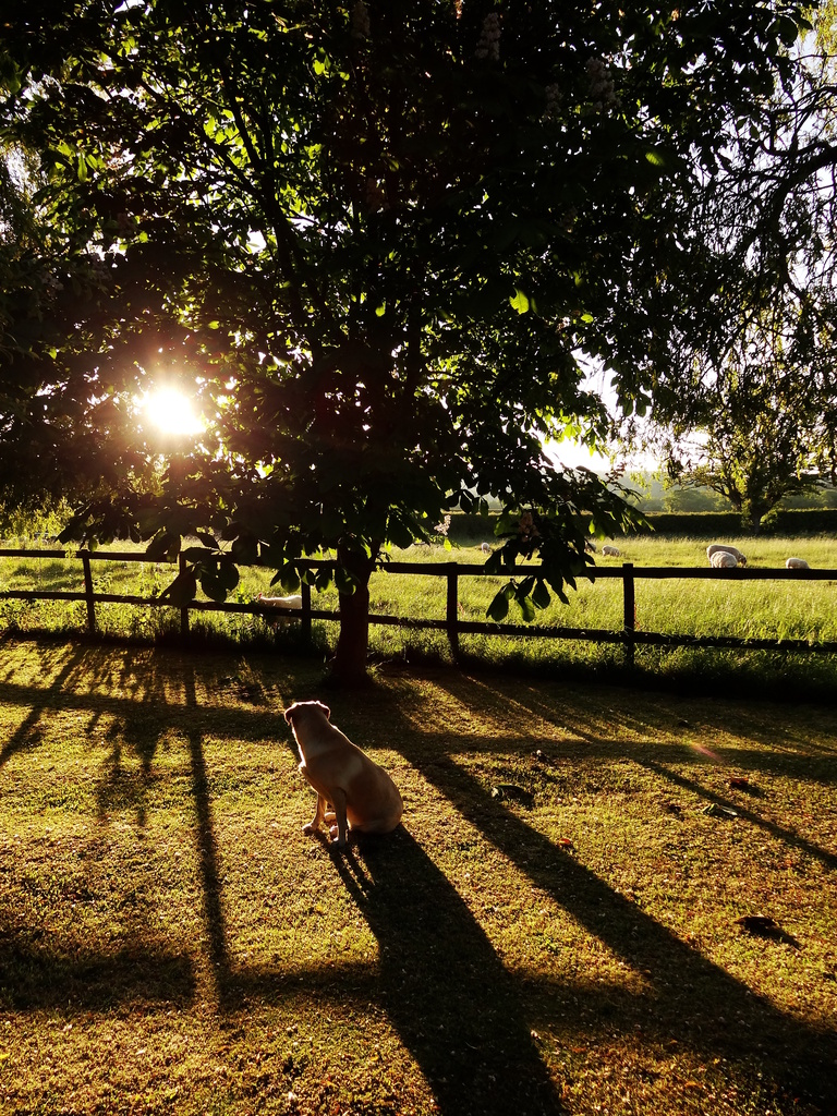 Morning of the long shadows - 05-6 by barrowlane