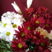 Flowers from Gt Grandma by elainepenney