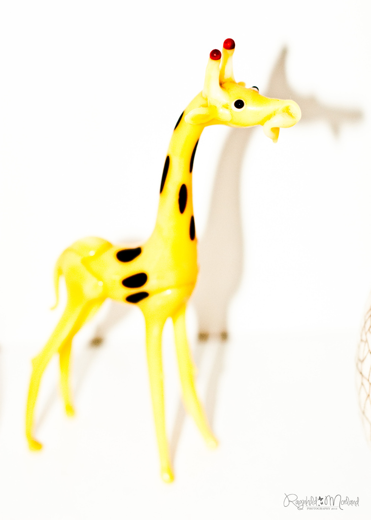 Giraffe by ragnhildmorland