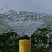 WATER SCULPTURE by markp