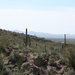 Sonoran Desert by kerristephens