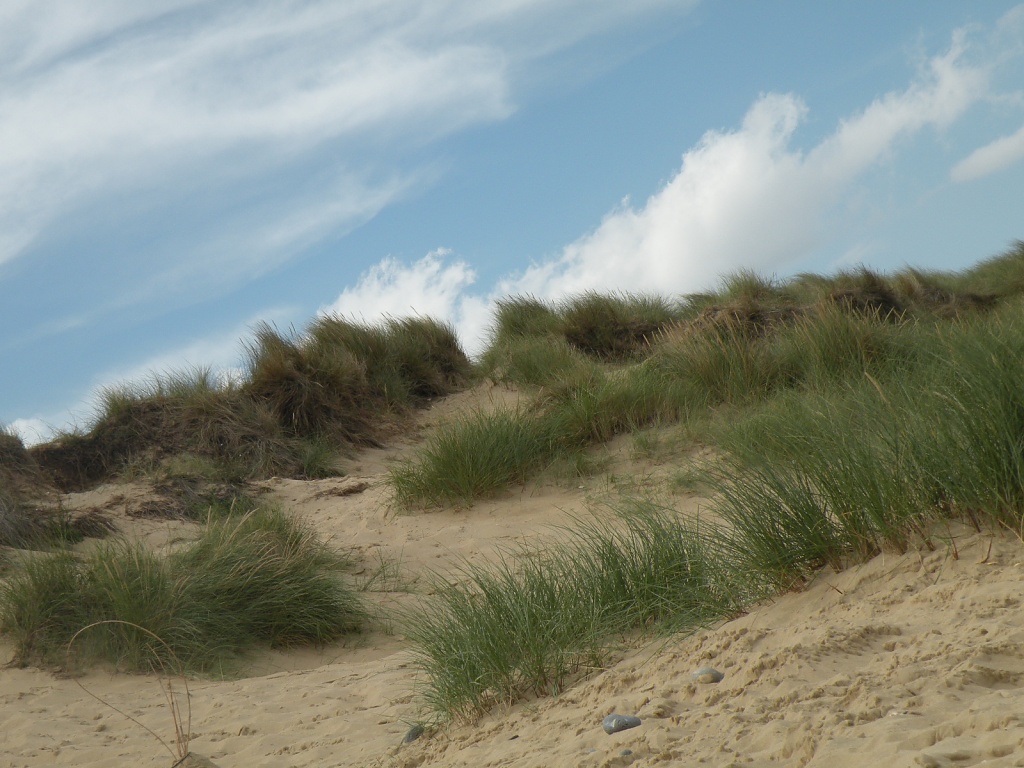 Sand Dunes at Winterton by manek43509
