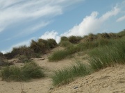 22nd Aug 2010 - Sand Dunes at Winterton
